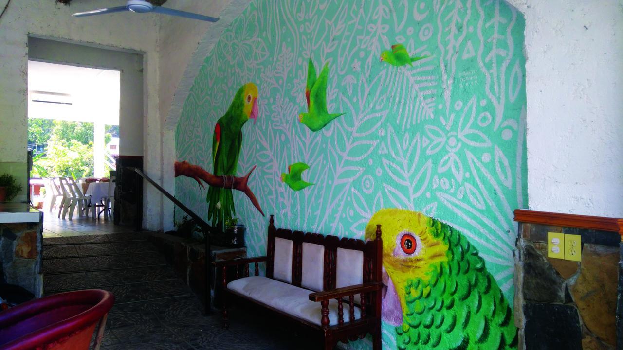 Hotel Falcon Tamasopo Extérieur photo